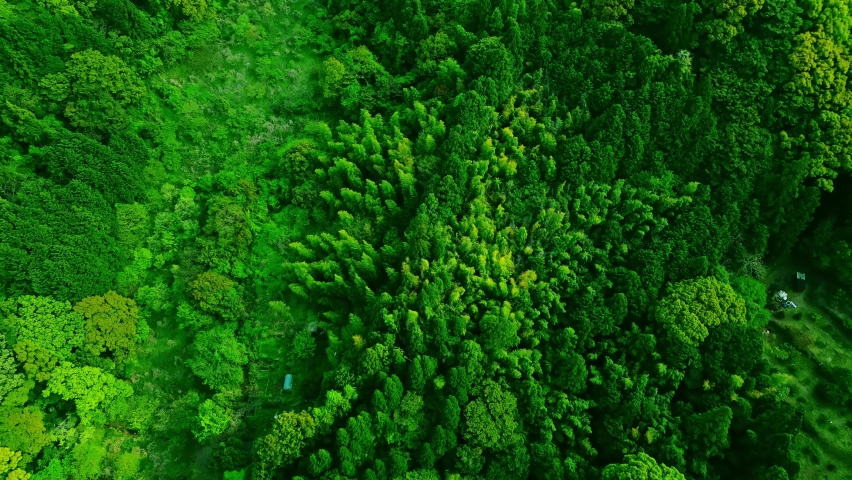 Green natural forest aerial view. Environment concept. Royalty-Free Stock Footage #1090214009