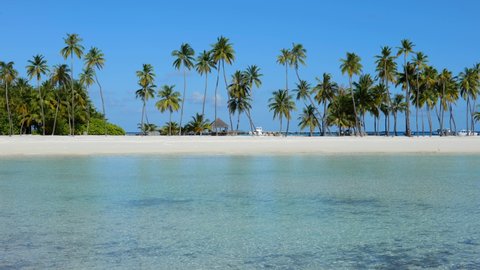 Desert island palm trees paradise beach, Maldives
