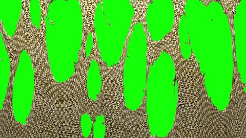 Rough canvas material. Woven fabric torn to shreds, holes revealing green screen and transparent background. Cloth simulation, 3D animated intro. Chroma key and alpha channel ProRes 4444 in 4k UHD.
