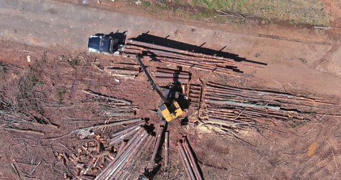 Wood log loader to large transportation truck on crane operator loading