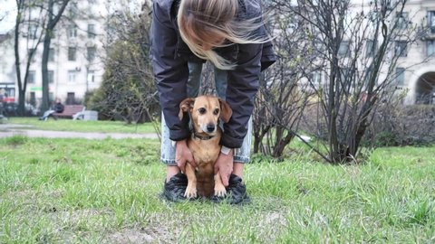 a woman of caucasian nationality walks and plays on a green meadow in a city park with a small brown dog dachshund. The concept of walking with a pet