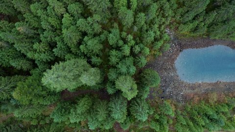 Aerial drone footage flying over the surface of still water towards a native scots pine forest . High quality 4k footage