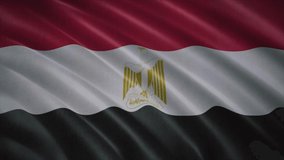 Egypt flag video. 3d Egypt Flag Slow Motion video. Blowing Close Up. Flags resolution Background. flag Closeup 4K video