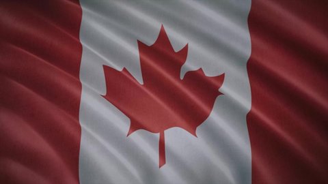 Canada flag video. 3d Canada Flag Slow Motion video. Blowing Close Up. Flags resolution Background. flag Closeup 4K video