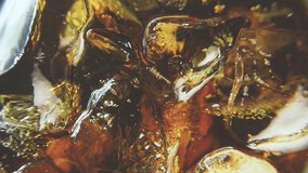 Soda bubbles close-up in a glass with ice cubes. Overflowing wet glass with pop soda. 4k macro video 60 fps.