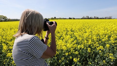 Beccles, UK 7 May 2022 : Blonde woman photographer taking photos of Blooming Rapeseed canola Field and of Yellow Flowers of Rape