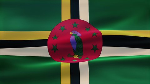 A waving flag on Dominica, country, national, government, world flag.