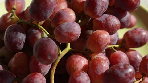 Close-up view 4k video footage of sunny red seeded organic grapes raisins. Fruits of Chile. Grapes video background