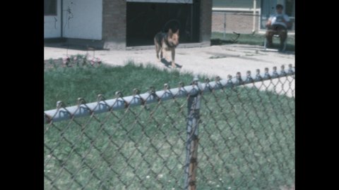 1960s: A German Shepherd runs up to chain-link fence and barks, running back and forth. A little freckled ginger girl carrying a vinyl case walks by the fence. She looks worried, sighs. She runs away.