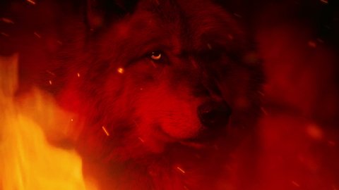 Red Wolf In Fire With Glowing Eyes
