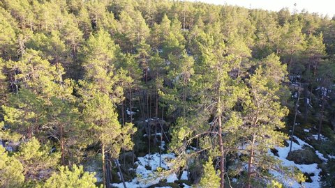 A pine forest in Finland, filmed in the spring with a drone. The terrain might be called hills, but in Western Finland everything is so flat that we call this mountains. 
