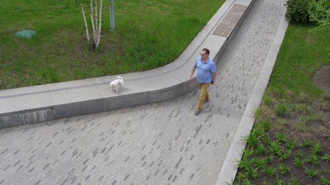 aerial view of confident mature man and Jack Russell Terrier dog walking in springtime park
