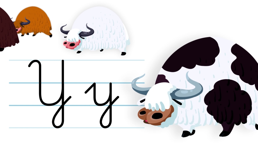 Y letter writing like yak cartoon animation. A compatibile part of the alphabet serie. Handwriting educational style for children. Good for education movies, presentation, learning alphabet, etc... | Shutterstock HD Video #1090267537