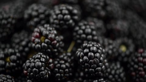 Blackberry closeup background. Fresh Ripe organic black berries, rotation backdrop close-up. Bio Blackberries top view, flat lay background. Macro shot. Market. Healthy vegan food. 