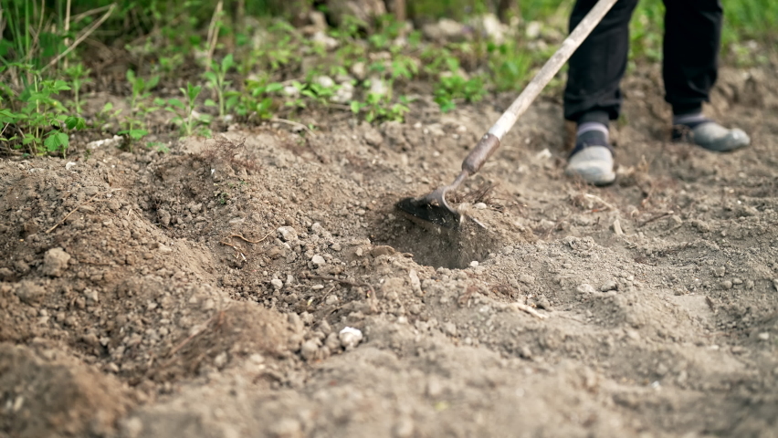 Farmer Woman Working Garden Home Digging Stock Footage Video (100% ...