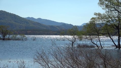 Lake Hibara in Spring (Kitashiobara Village, Fukushima Prefecture)