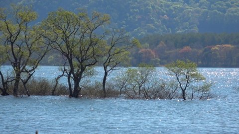 Lake Hibara in Spring (Kitashiobara Village, Fukushima Prefecture)
