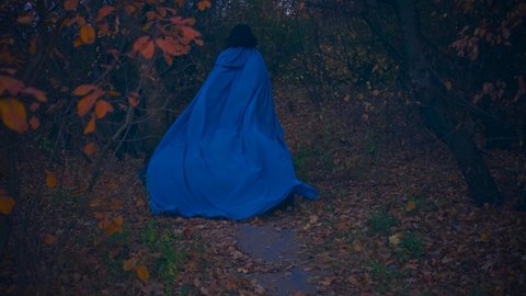 fantasy gothic mysterious woman runs in autumn forest dark night trees, mystic path. Long train cloak cape blue vintage silk dress fluttering in wind motion. Princess girl runs away. Back rear view.