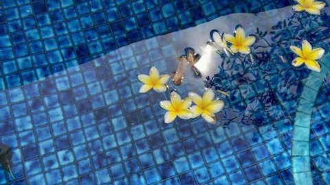 Beautiful summer background with yellow tropical flowers floating on surface of swimming pool water reflecting sun in paradise resort