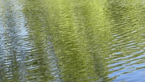 Ripples on the pond. Vertical video with nature sounds