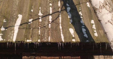 melting morning icicles in spring