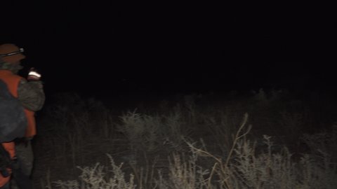 two hunters carrying rifles walking with flashlights through the wilderness at night. deer hunting video series. hunting hobby as an outdoor activity
