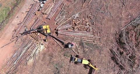 Aerial view on crane operator loading logs woodpiles to large truck