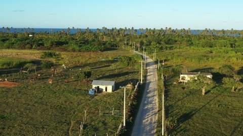 Rural local road to caribbean beach with palm trees and Atlantic Ocean. Dominican Republic, Nisibon. Aerial top view