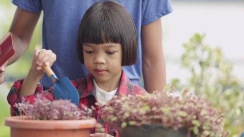 Asian girls and boys is brother and sister Caring for a Callisia Repens plant in a pot in his garden. The older brother taught to take care and taught the younger to take care of the plant with love.