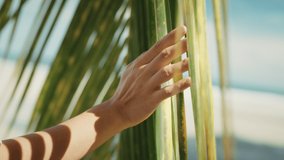 B roll - Close up woman hand gently touches the tropical coconut palm leaf swaying in the wind with sun light, Summer vacation concept, slow motion. - Powered by Shutterstock - Get 15% off with code: PIKWIZARD15