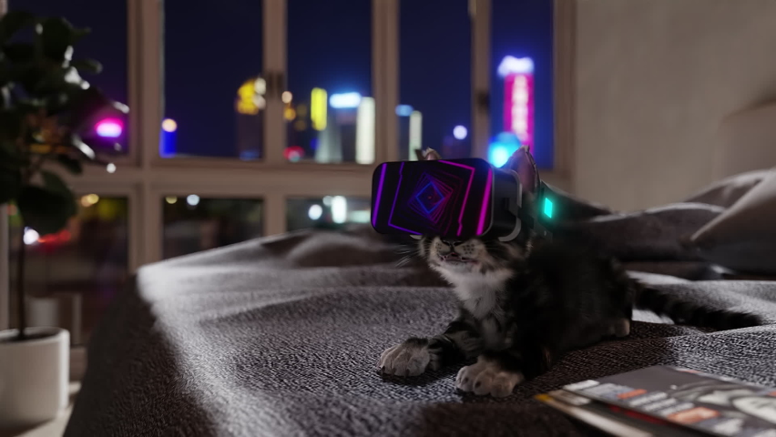 Cat using VR glasses. 3d render, seamless loop. Royalty-Free Stock Footage #1090301115