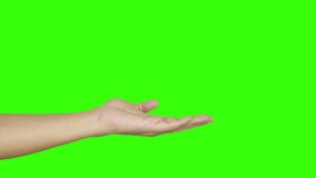 closeup empty hands with palms up on green background with chroma key - Powered by Shutterstock - Get 15% off with code: PIKWIZARD15