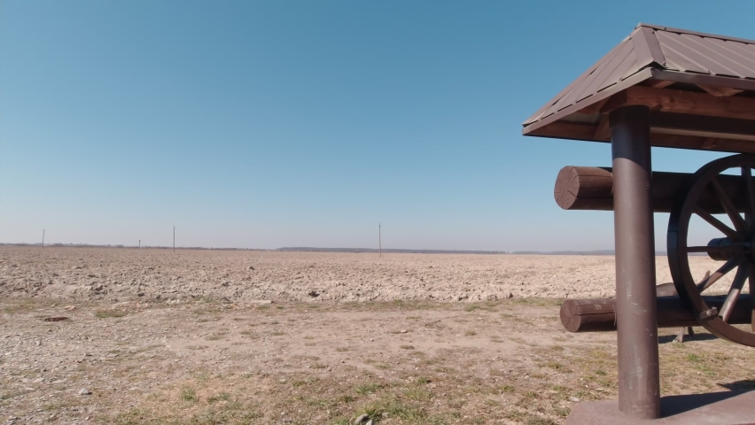 Dog and rural field slow motion landscape
