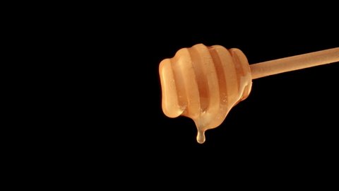 Honey dripping, pouring from a honey dipper on a black isolated background. Healthy organic thick honey dipping from a wooden honey spoon, close up. Golden liquid, sweet molasses, sugar syrup.
