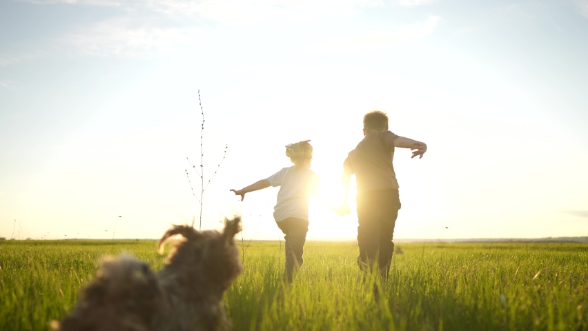 boy girl and dog a running in the park. happy family kid dream holiday concept. children hold hands brother sister  family run across the field silhouette summer in the park sun. kid run Royalty-Free Stock Footage #1090318213