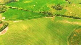 Bird's eye view of agricultural area and green wavy fields in sunny day. Agronomic industry. Agrarian region Europe. Cinematic aerial shot. Beauty of earth. Filmed in UHD 4k, drone video.