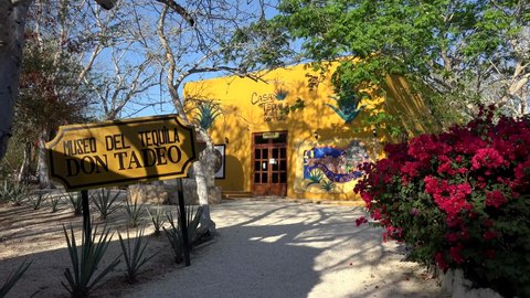 Temozon, Yucatan, Mexico - APRIL 06, 2019:
View of the Don Tadeo Tequila Museum near Hubiku cenote. 