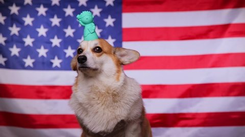 Proud Welsh Corgi Pembroke dog with a statue of liberty in front of the American flag. Flag Day in the United States of America. Fourth of July Independence Day. Patriotic dog.
