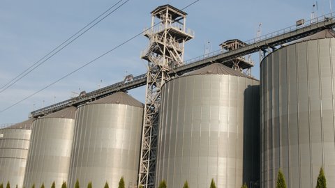 Silver silos on agro manufacturing plant for processing drying cleaning, storage of agricultural products, flour, cereals and grain. Large iron barrels of grain. Granary elevator.