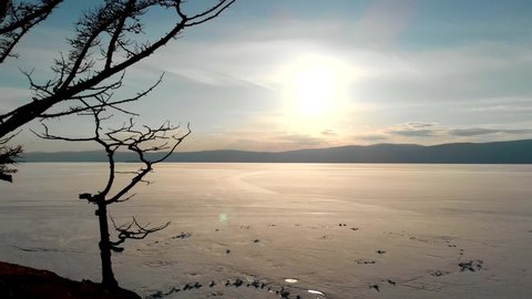Silhouette of a winter tree against the background of frozen Lake Baikal
