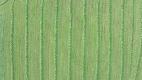 Tracking Aerial Shot Of A freshly Cut Field, Scotland.