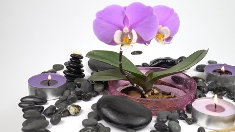 Flower pot with a blooming purple-pink orchid stands on a white table among black pebbles and colorful burning candles