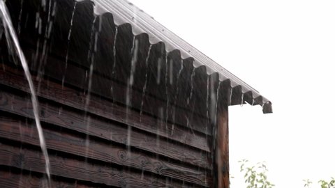 Strong tropical rain falls. Rainy day. Bad weather. A lot of water flow from the house roof. Without gutter tube. Old slate. Sad mood. Sadness. Wet cold season. Wooden planks finish of building wall.