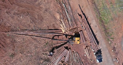 Aerial view on loading wood logging transportation on transport logging forest industry