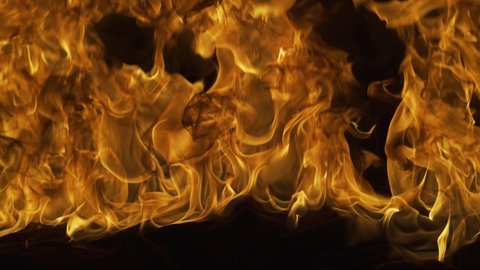 Fire flame, burn lights. Fire effect. Abstract blaze fire flame background.
