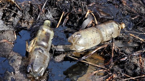 Oil pollution, plastic bottles, garbage and other waste