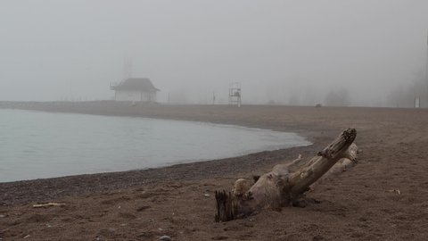 Drift wood on the foggy beach