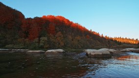 Shallow mountain river rapids with evergreen autumn terracotta forests on steep banks, slider slow motion pan video
