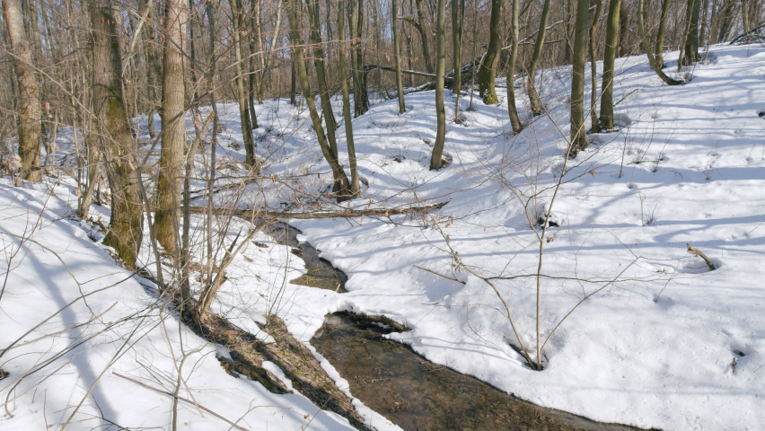 Creek flows in the spring forest. White snow on the creek banks. | Shutterstock HD Video #1090352105