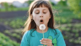 Portrait of a beautiful young girl blowing on the ripened dandelion in the evening against the background of the sunset sun. 4K super slow motion video.